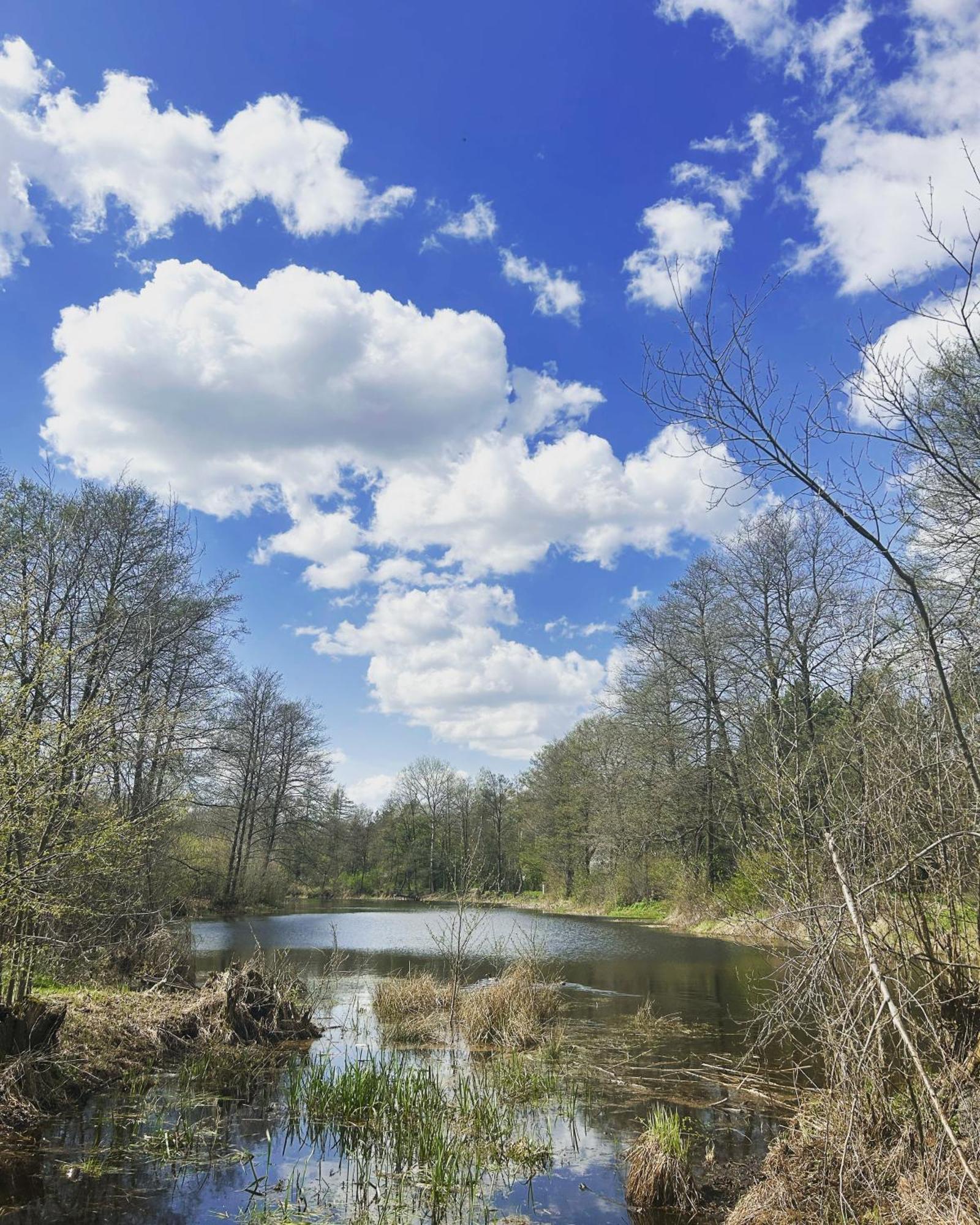 Masuria Warsaw Villa Skrzeszew Luaran gambar