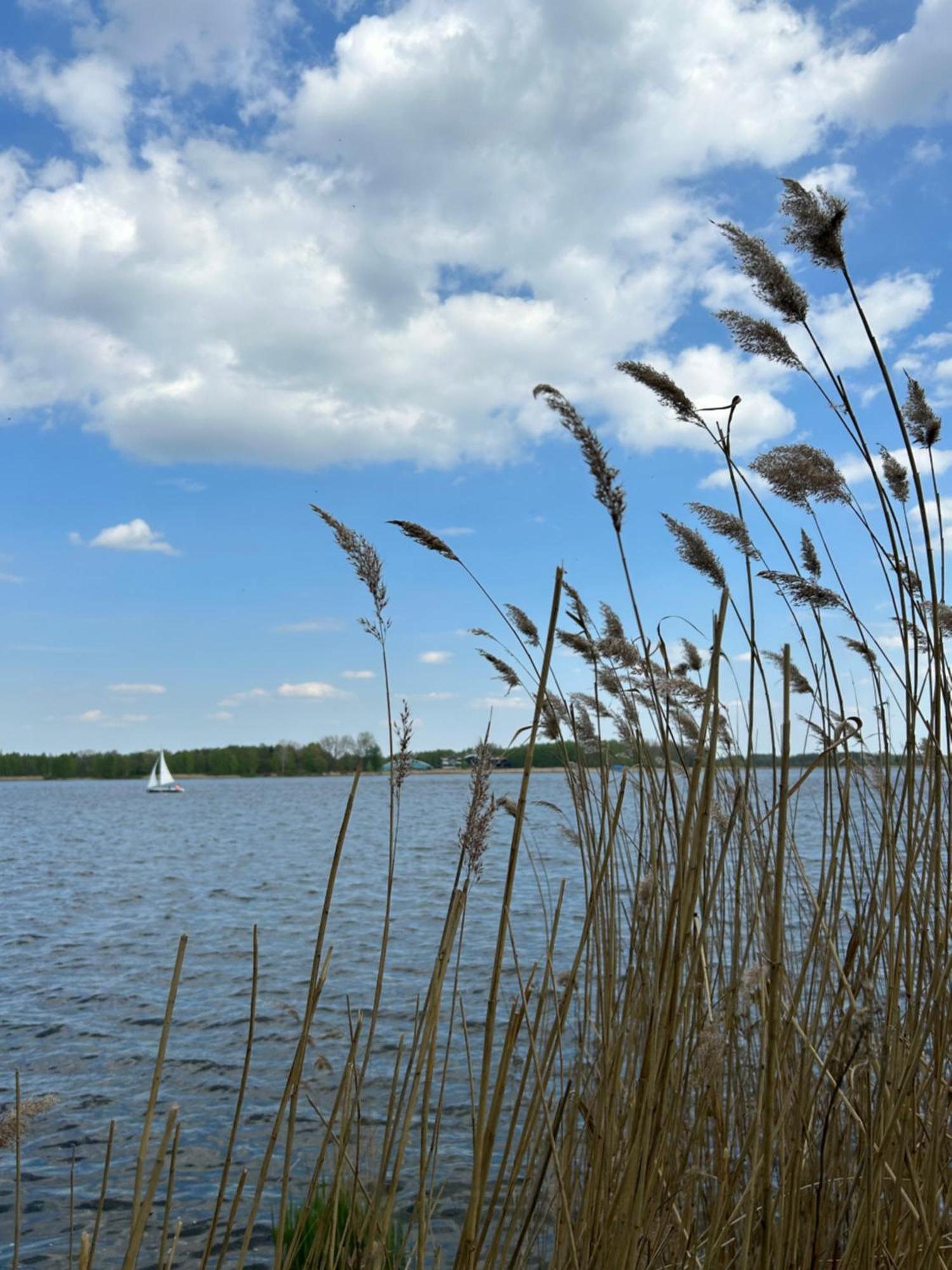 Masuria Warsaw Villa Skrzeszew Luaran gambar