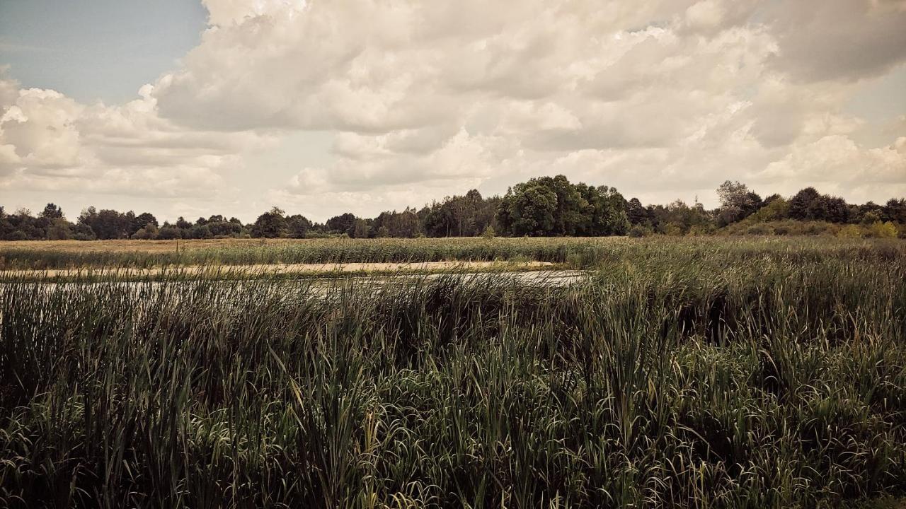 Masuria Warsaw Villa Skrzeszew Luaran gambar