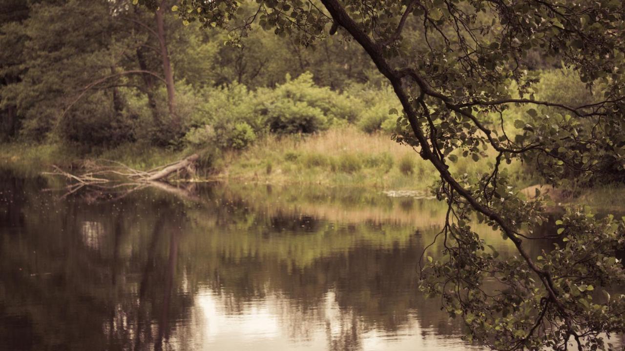 Masuria Warsaw Villa Skrzeszew Luaran gambar