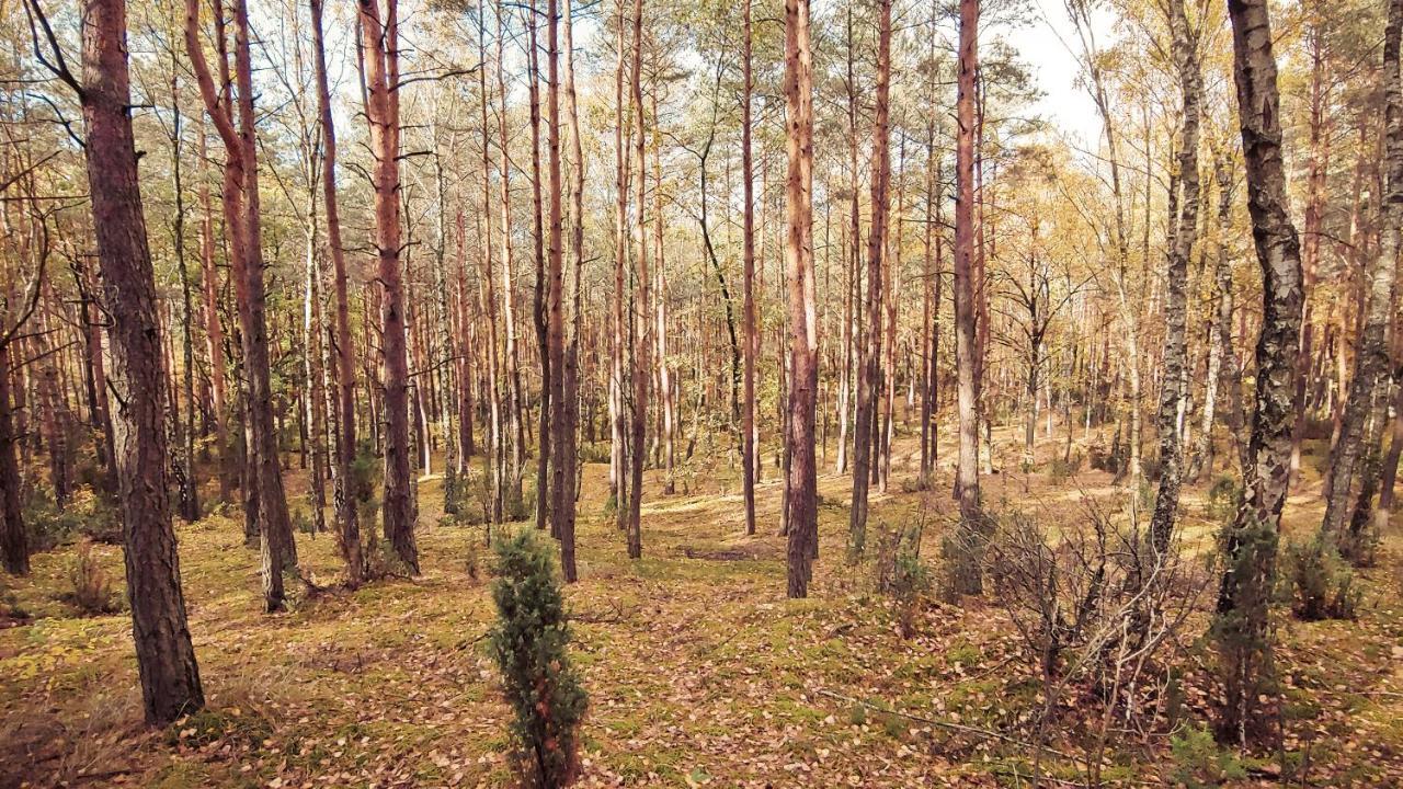 Masuria Warsaw Villa Skrzeszew Luaran gambar